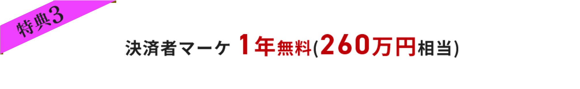 決済者マーケ