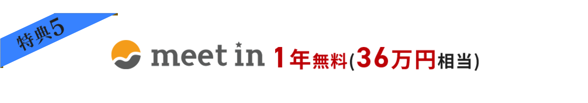 meet in 1年無料