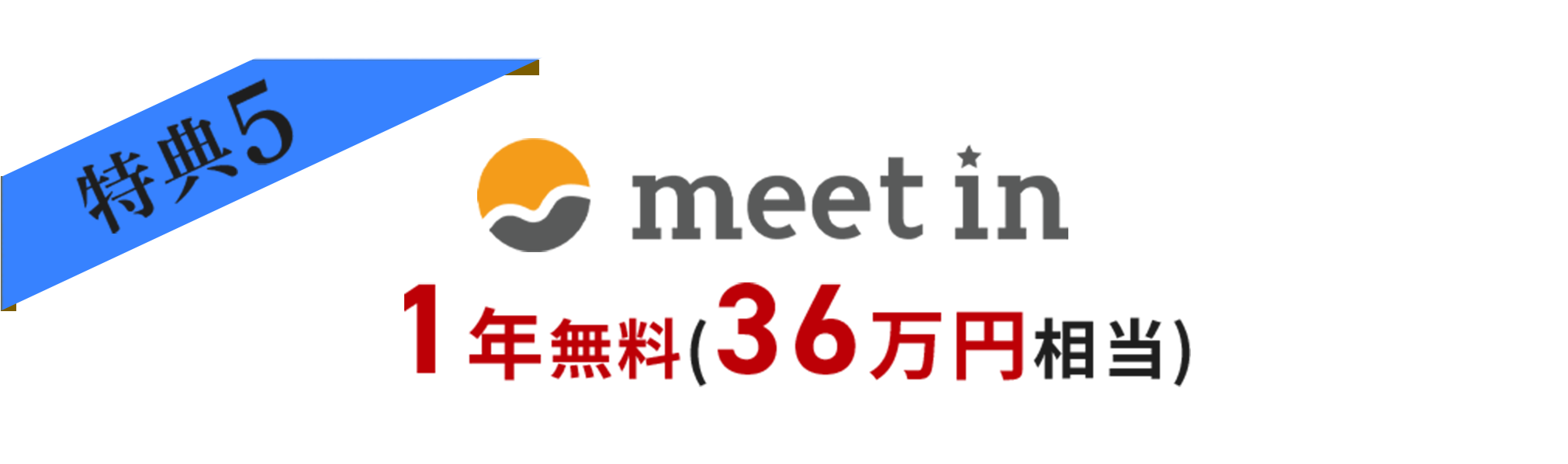 meet in 1年無料